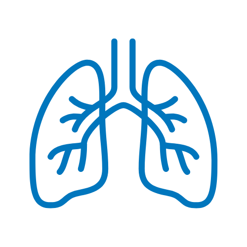 Respiratory Medicine Department